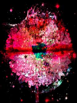 2020-02-25 Sternenblume 06 60x80cm Tinte auf Hahnemühlepapier